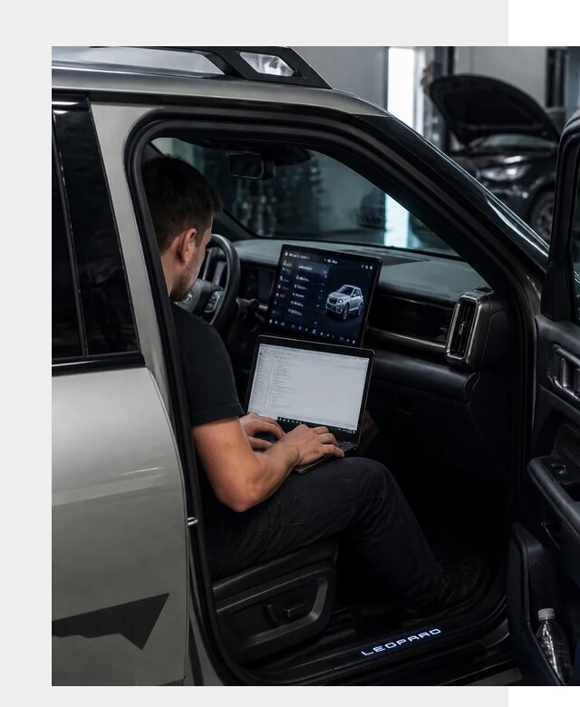 Русификация BYD Leopard 3 в Кушве по цене от 20427 р. | ФастМобиль-Кшв